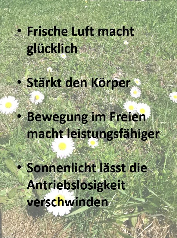 Frische Luft macht glücklich ☀️? — DAS ATELIER - COWORKING Holzkirchen
